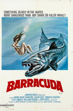 Barracuda poster